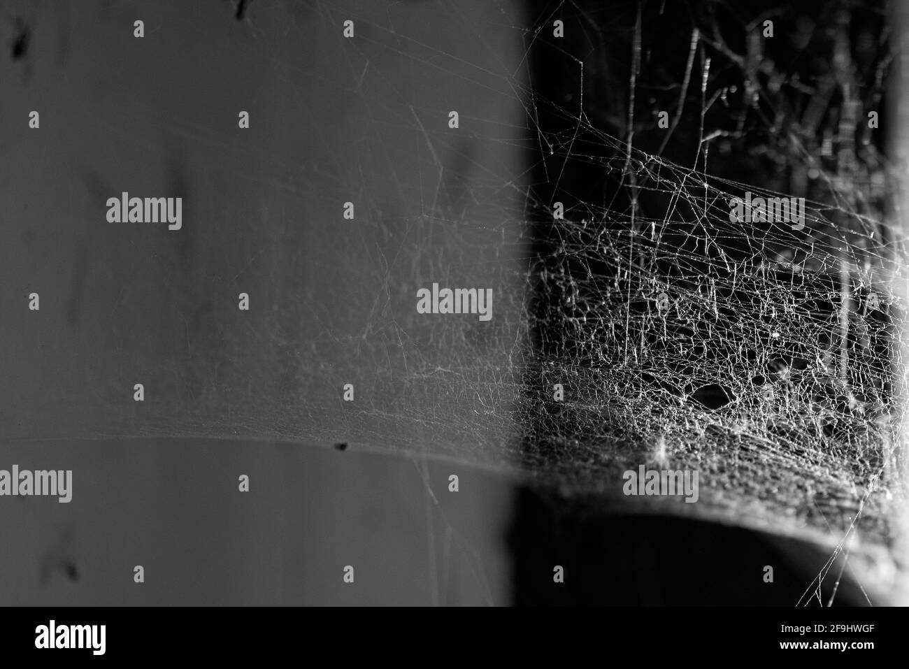 Natürliches Spinnennetz in einer Ecke eines verlassenen Hauses, Zimmer mit schmutziger Wand und Fenster, schwarz-weiß-Bild Stockfoto