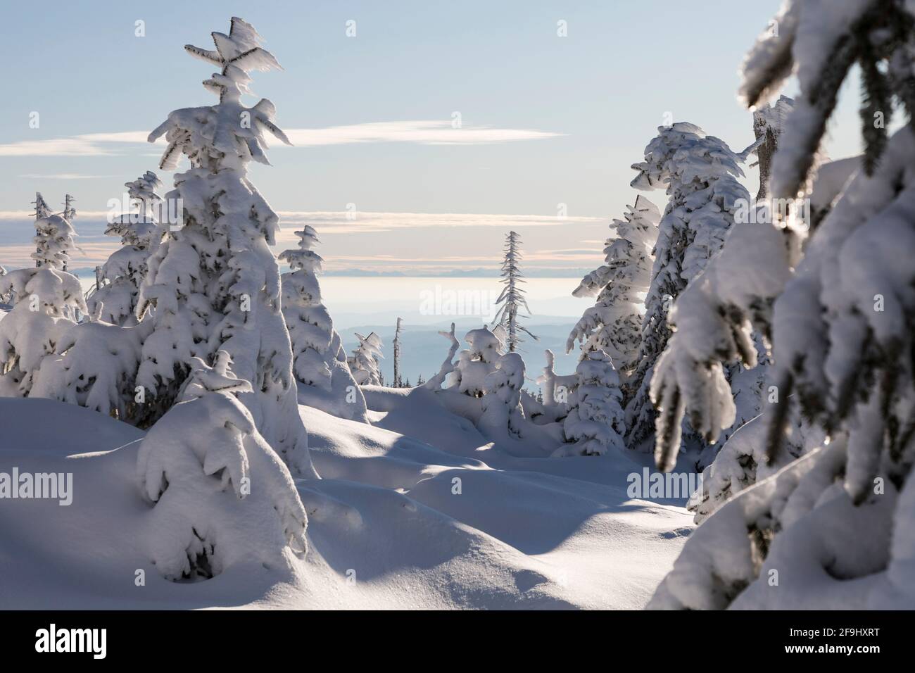 Landschaft im Winter auf dem Dreisesselberg. Bayerischer Wald, Bayern, Deutschland Stockfoto