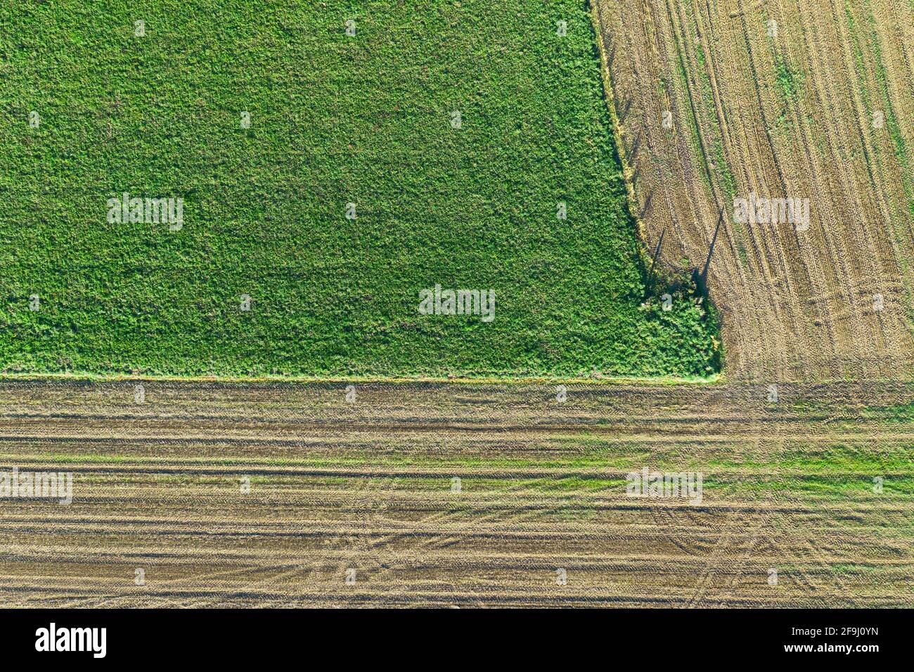 Top-Down-Aufnahme eines gepflügten Feldes mit einer Drohne aus einer Höhe. Stockfoto