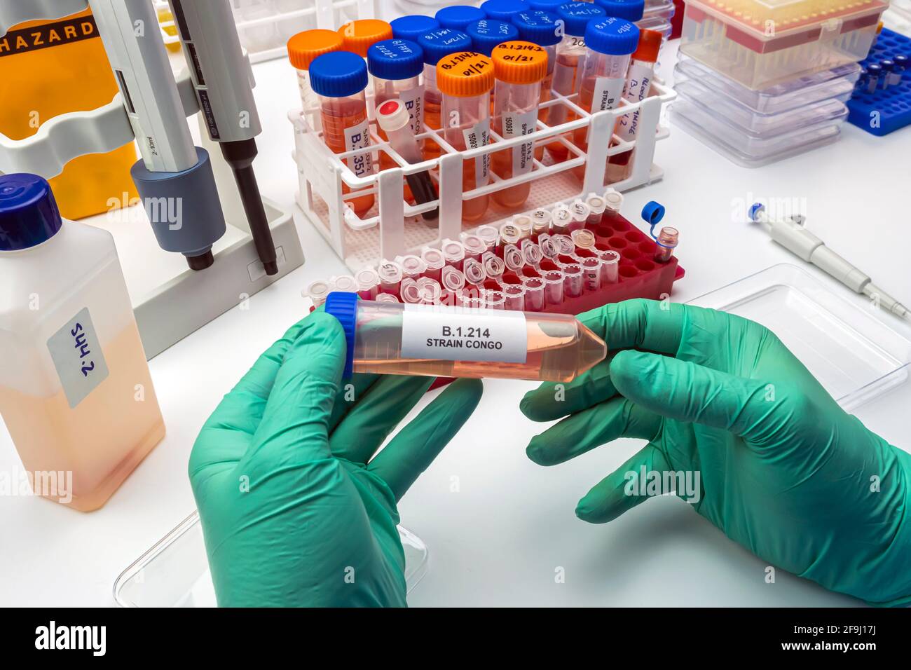 Laboranalyse einer neuen SARS-Cov-2-Mutation in Belgien aus dem Kongo, bekannt als Spike Insertion (SI), deren wissenschaftlicher Name B.1.214, konzeptuelles ima ist Stockfoto