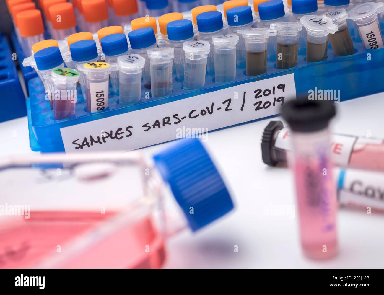 Fläschchen mit Proben von SARS-COV-2 Covid-19 in einem Forschungslabor, konzeptionelles Bild Stockfoto