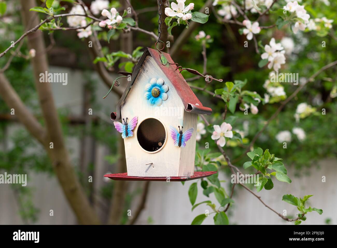 Kleines Vogelhaus im Frühling über blühendem Apfelbaum Stockfotografie -  Alamy