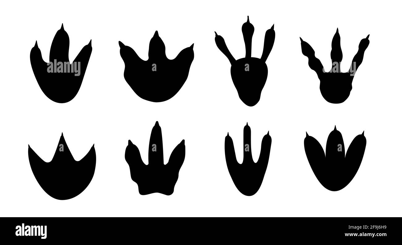 Dinosaurier Fußabdruck Spur Pfote allosaurus Hintergrund gesetzt. Dinosaurier Cartoon Dino Fuß Stock Vektor Dinosaurier Fußabdruck Spur Pfote allosaurus Hintergrund gesetzt. Dinosaurier Cartoon Dino Fuß Stock Vektor