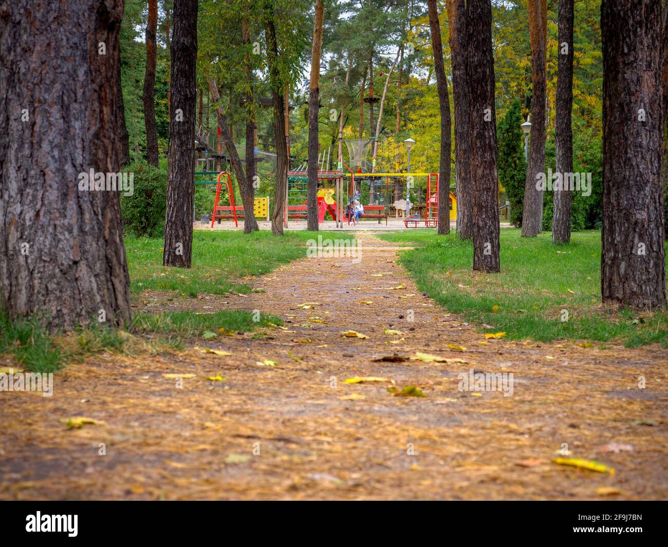 Blick über einen Parkweg mit gelb gefallenen Blättern und Tannennadeln, der zum farbenfrohen Kinderspielplatz und Seilpark führt. Spielen, Gehen und Ausruhen. Stockfoto