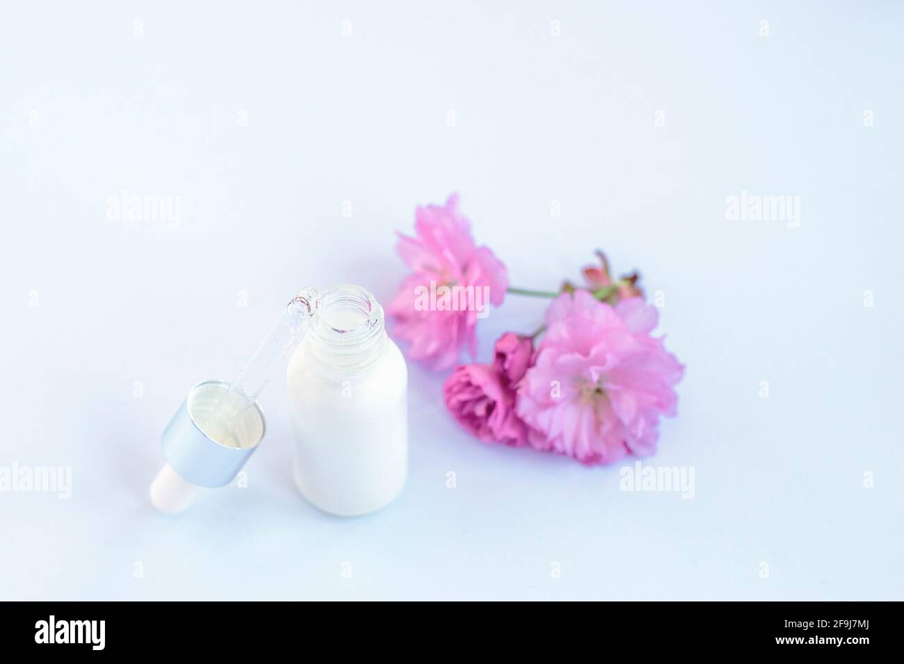 Weiße Serumflasche und rosa Kirschblüte. Natürliche Bio-Kosmetik-Konzept. Selektiver Fokus. Stockfoto
