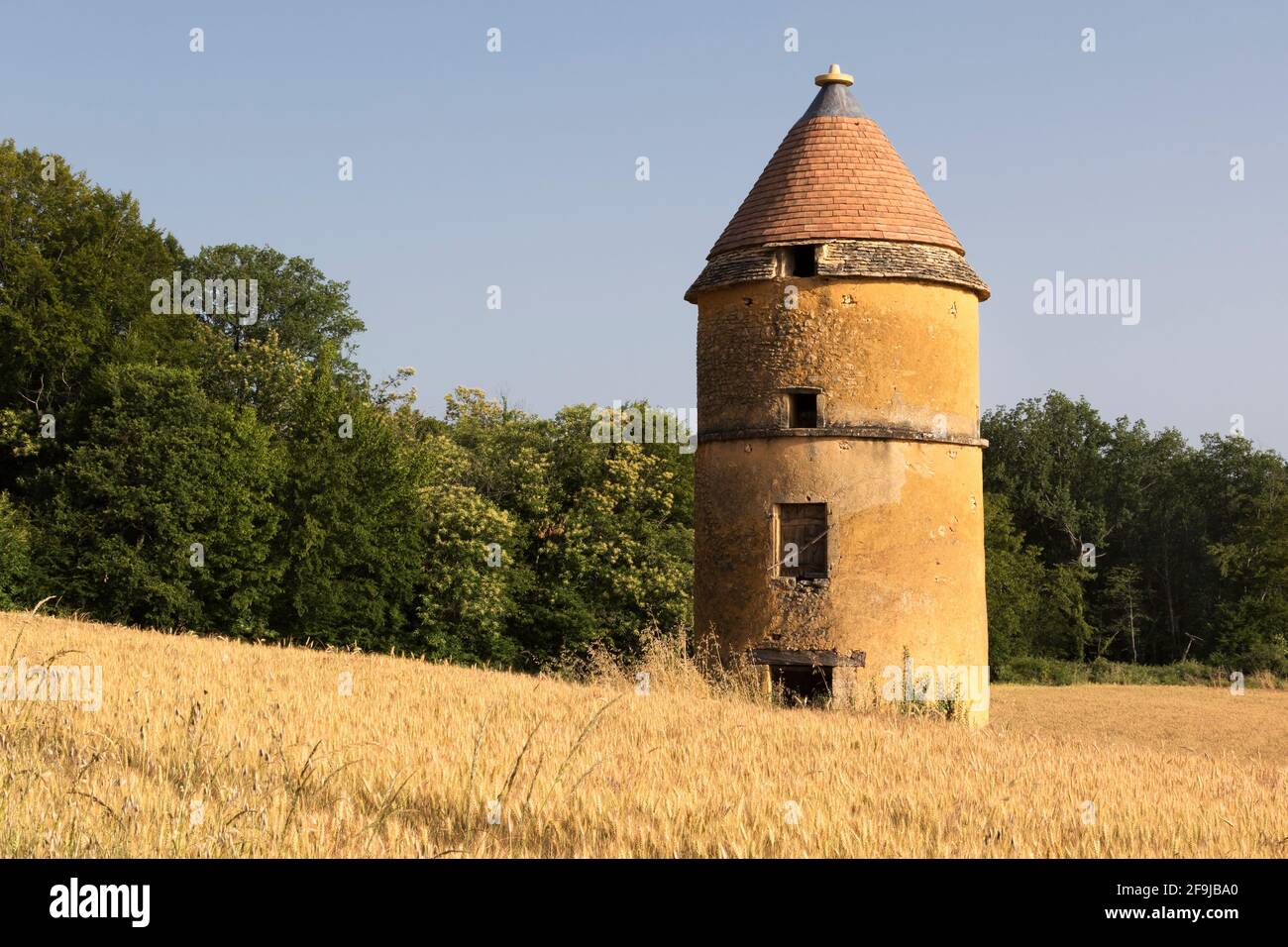 Eine elegante Taube - ein Taubenhaus - auf den Feldern unweit von Saint-Amand-de-Coly, Dordogne, Frankreich Stockfoto