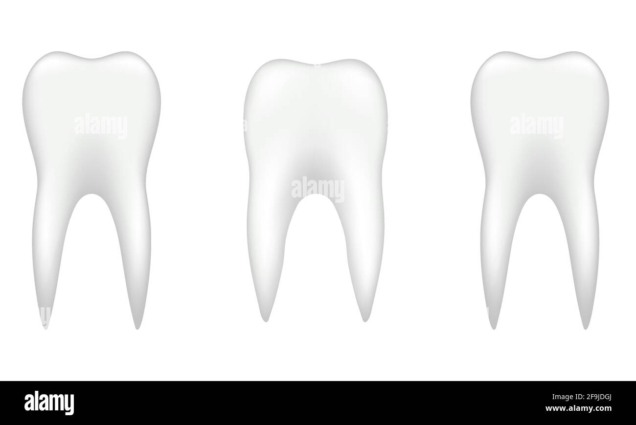 Konzept gesunder Zahn, der zahnärztlichen Untersuchung, Zahngesundheit und Hygiene. Stock Vektor