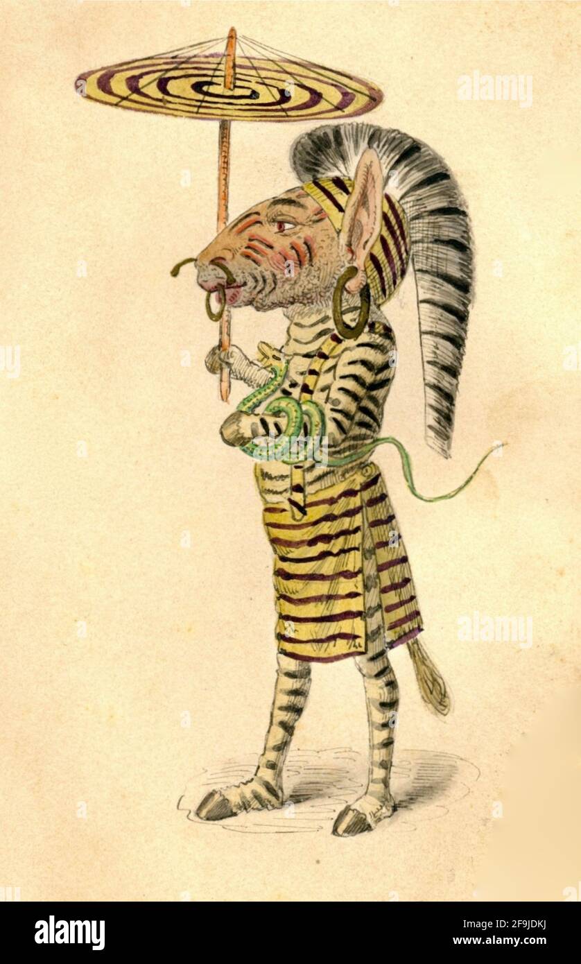 Charles Briton Kostümdesign für den Mistick Krewe von Comus New Orleans Mardi Gras Feiern von 1873 - Zebra Stockfoto