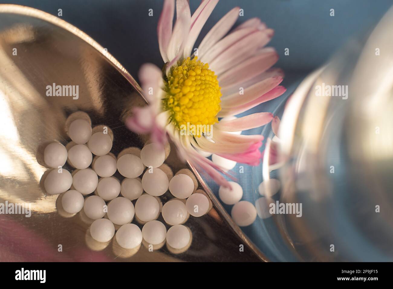 Homöopathie Globuli, Glas und Gänseblümchen auf blauem Hintergrund. Stockfoto