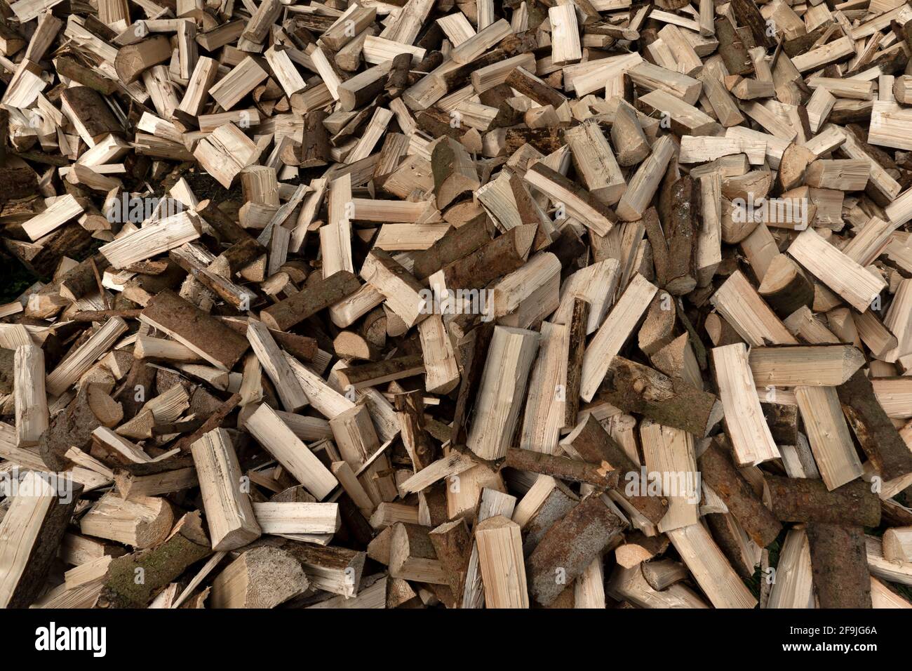 Haufen Brennholz in Nahaufnahme Stockfoto