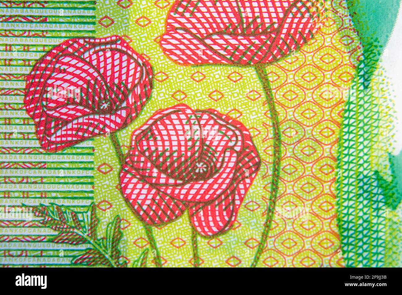 Makro der Mohnblumen auf einem zwanzig kanadischen gedruckt Dollar Plastikbanknote Stockfoto