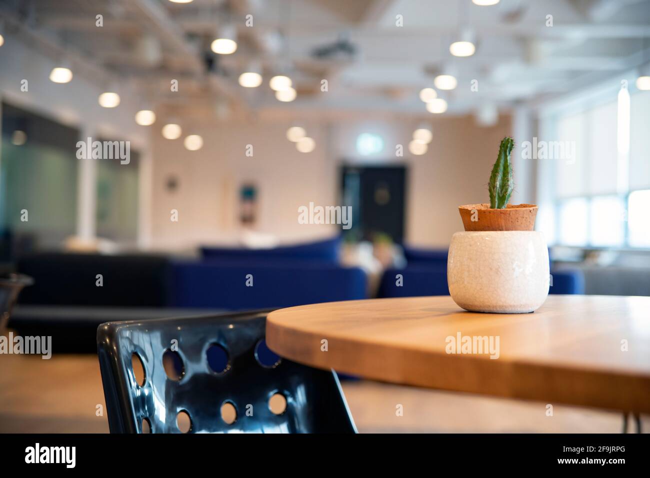 Eleganter, großer und heller Arbeitsbereich Stockfoto