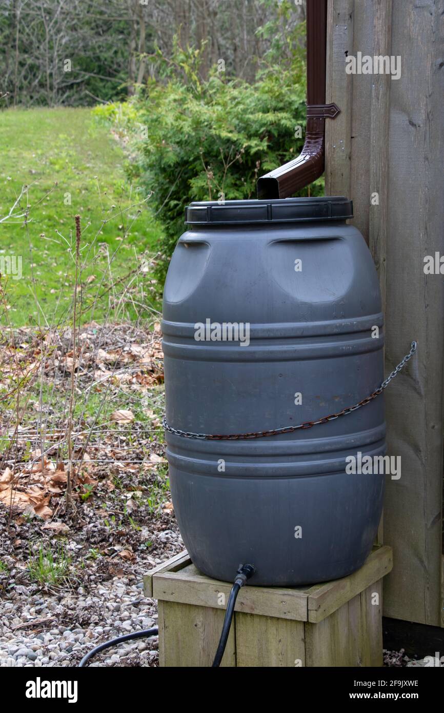 Das Do-it-yourself-Regenfass sitzt auf einer hölzernen Plattform und sammelt Wasser Vom Ablauschtvom Abspühl Stockfoto