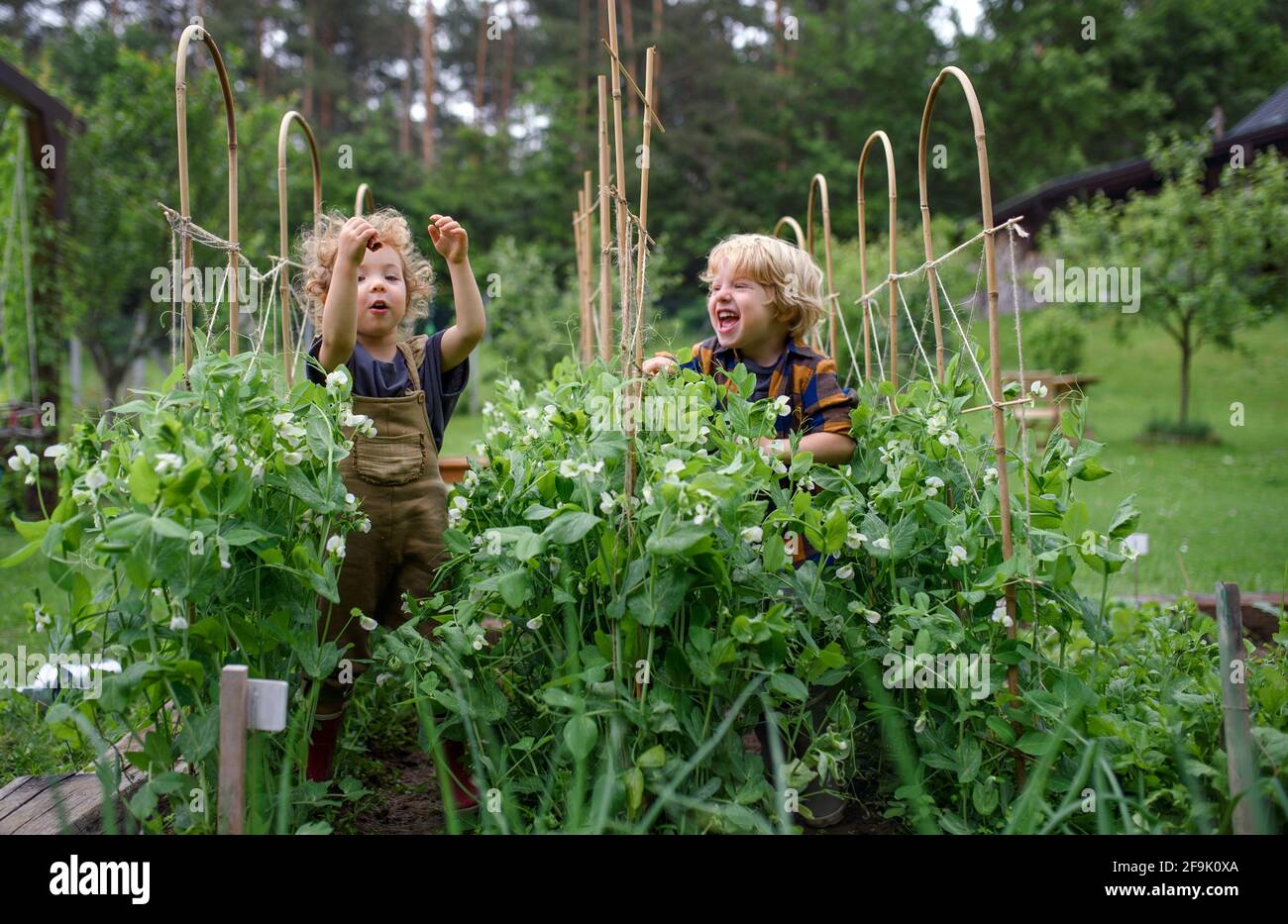 Portrait von zwei kleinen Kindern im Gemüsegarten, nachhaltiger Lebensstil. Stockfoto