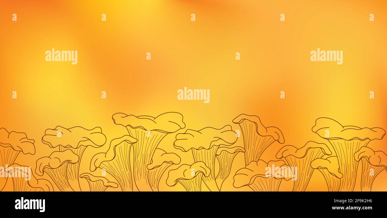 Verschwommener orangefarbener und roter Hintergrund mit Pfifferlingen. Essbare Pilze Stock Vektor
