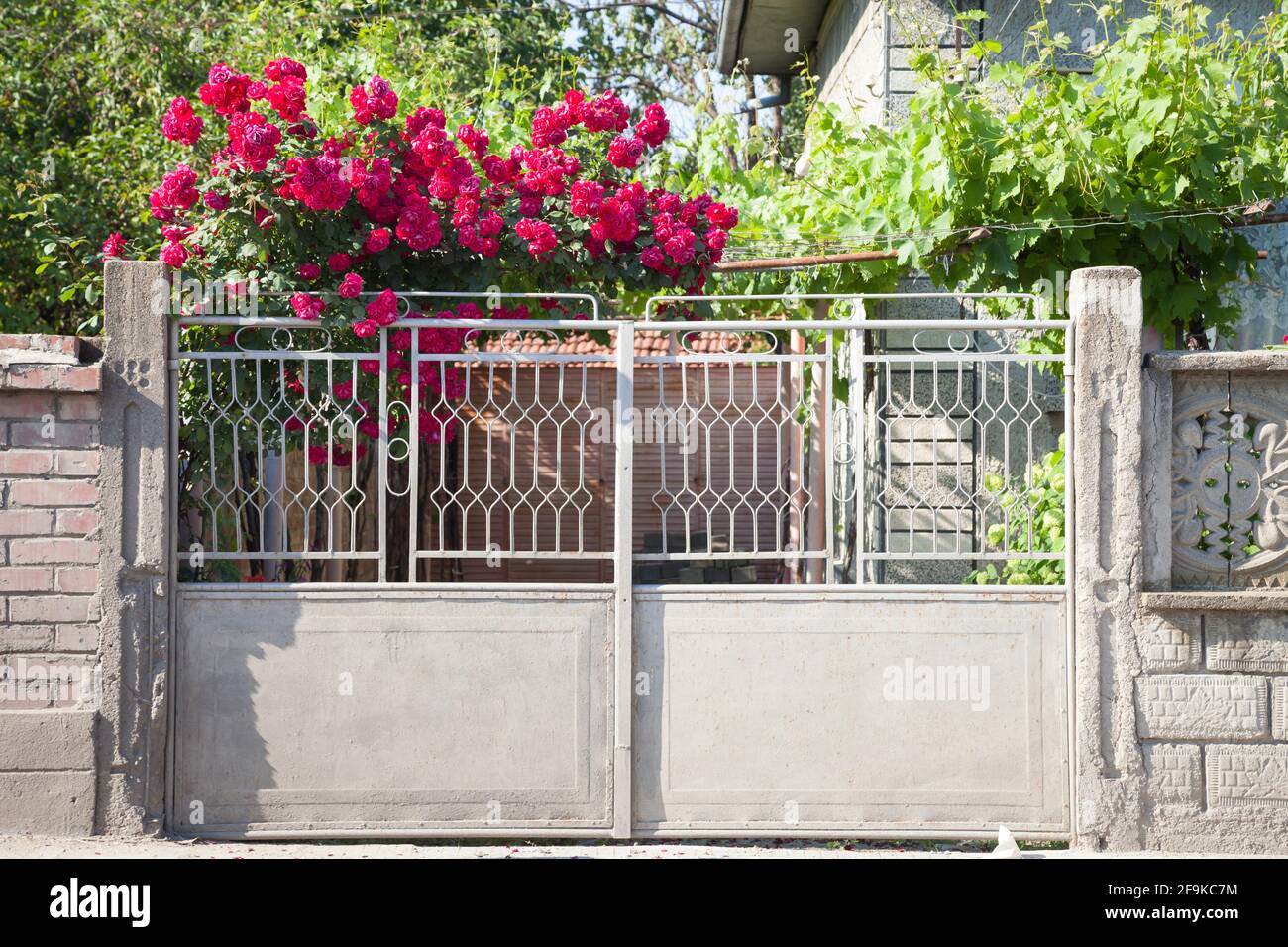Blick auf ein Einfamilienhaus mit Zaun, Garten und blühender Rose über dem Garagentor Stockfoto