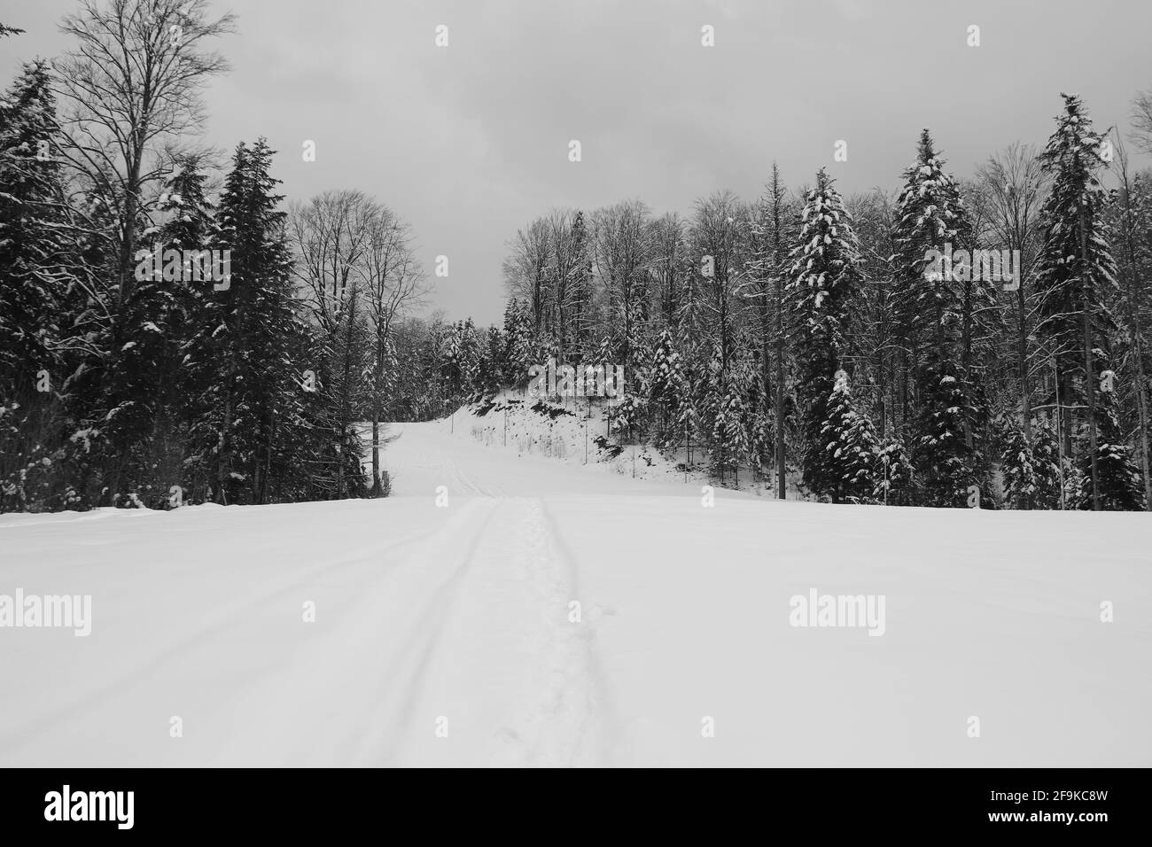 Schöner sonniger Morgen über leerer Skipiste in Slanic Moldawien, Rumänien. Schwarz und Weiß Stockfoto