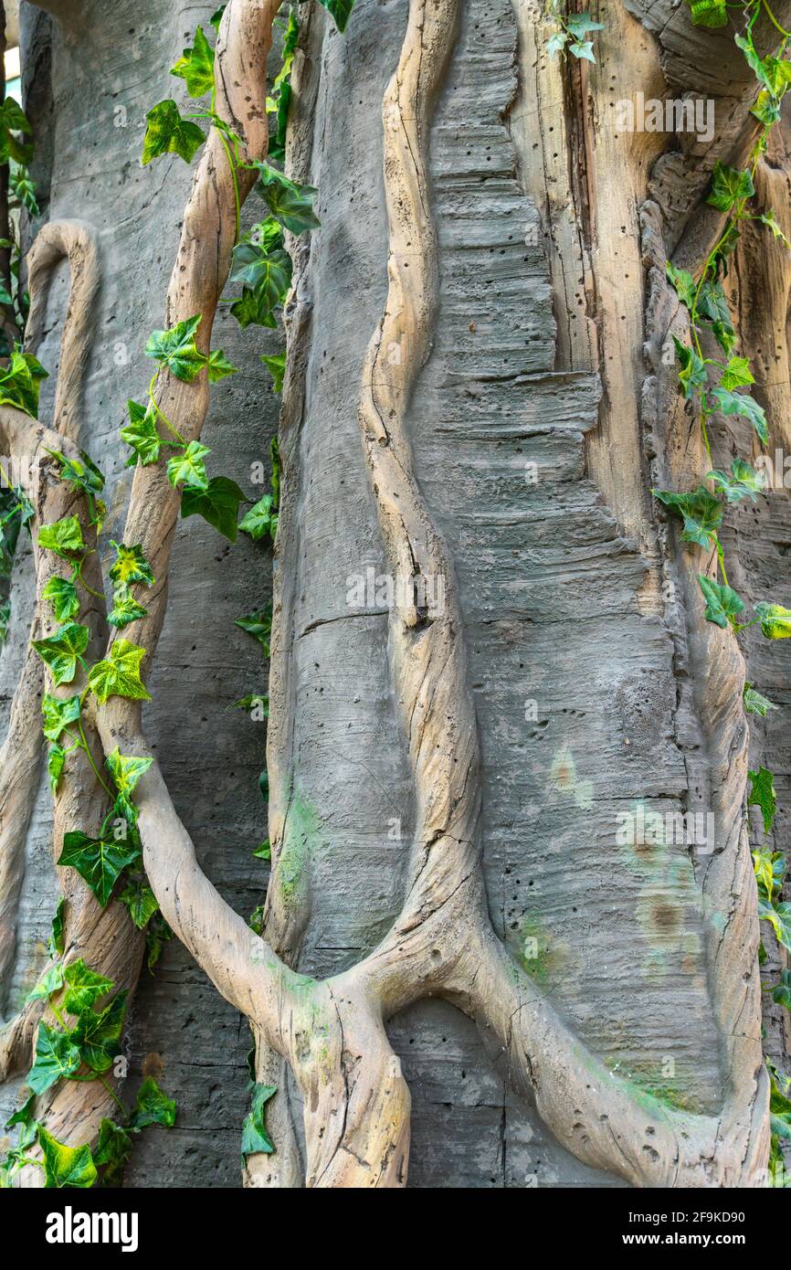 Dschungelstruktur und Steinfelsen mit Lianen, tropischem Hintergrund Stockfoto