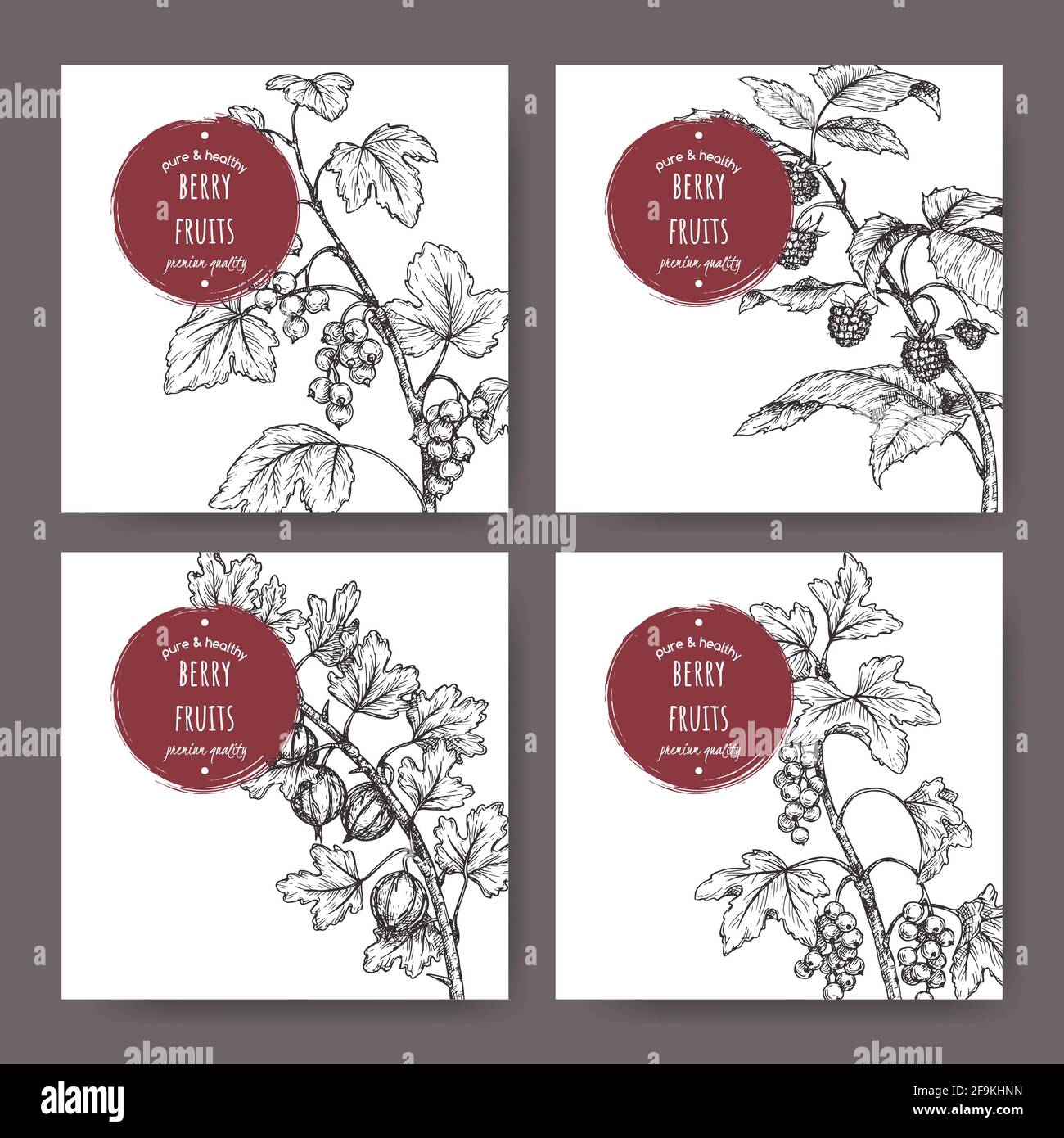 Set aus vier Etiketten mit schwarzer Johannisbeere, roter Johannisbeere, Himbeere und Stachelbeere Skizze. Berry Fruits Serie. Stock Vektor