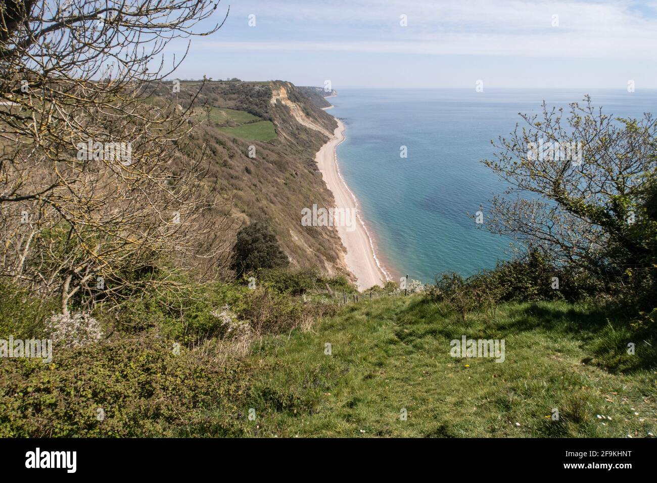 Blick nach Osten von Lincombe in Richtung Weston-Mündung auf dem South West Coastal Path zwischen Sidmouth und Branscombe. Stockfoto