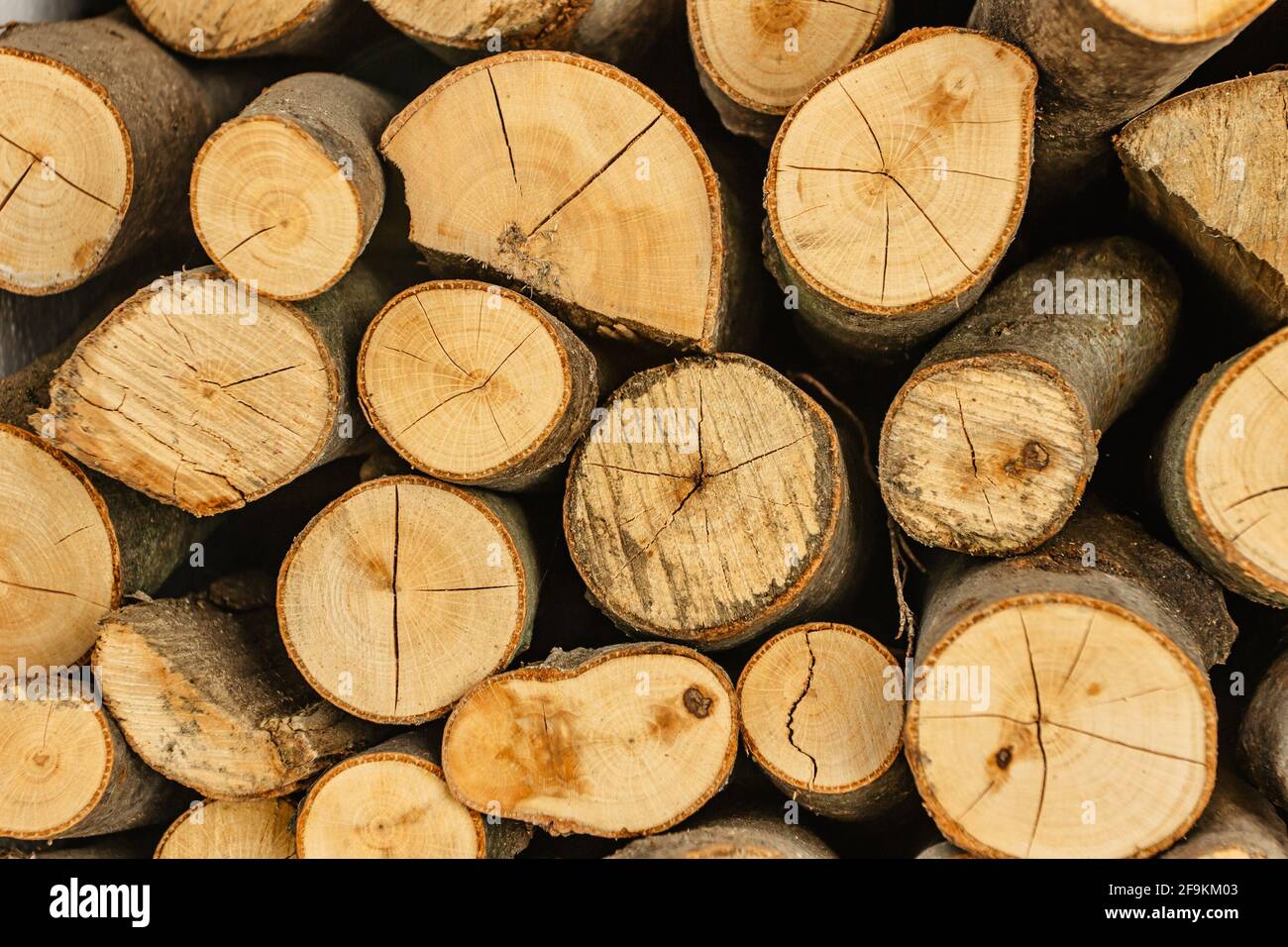 Holzstruktur Detail selektiver Fokus. Stapel Brennholz. Stapel von Holzstämmen für den Winter gelagert. Mauer aus Holz. Holzhintergrund. Lagerung von trockenem Holz Stockfoto