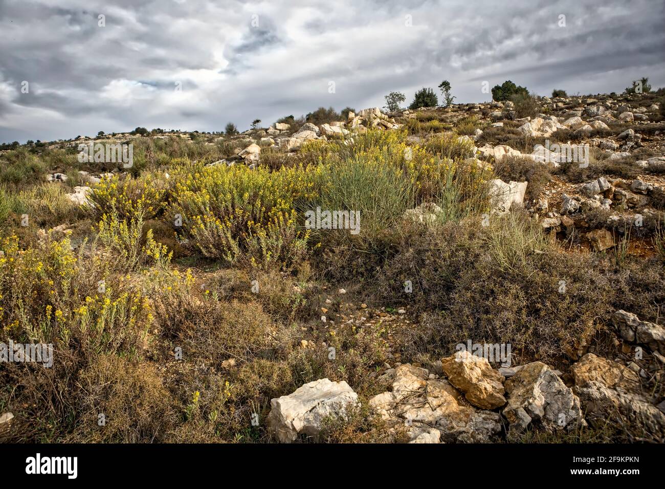 Libanon, Landschaft, Sonnenuntergang, Reisen Stockfoto