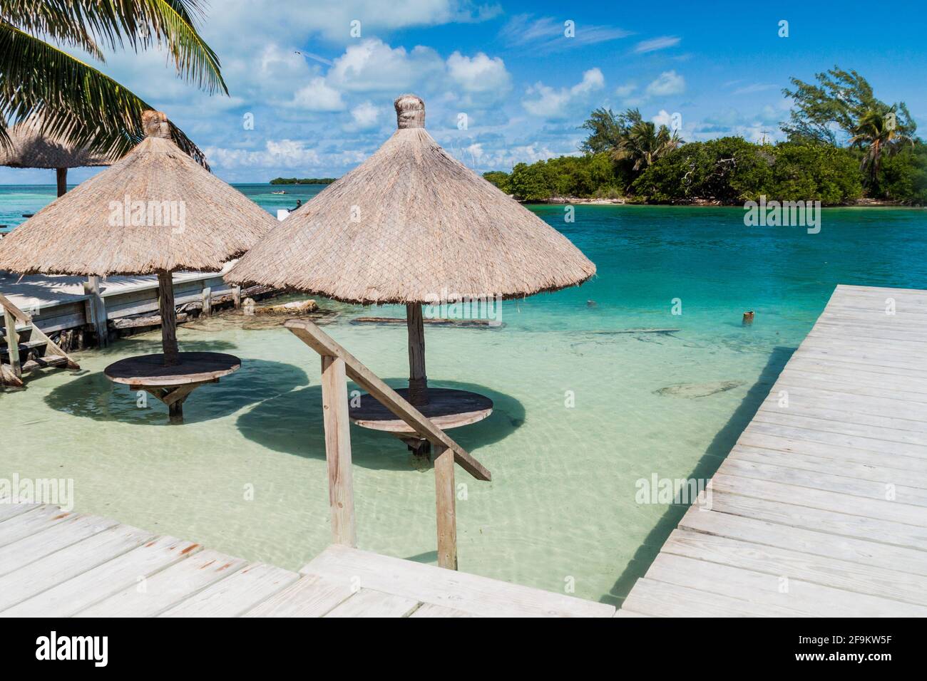 Tisch und Sonnenschirm in einem Wasser auf Caye Caulker Island, Belize Stockfoto