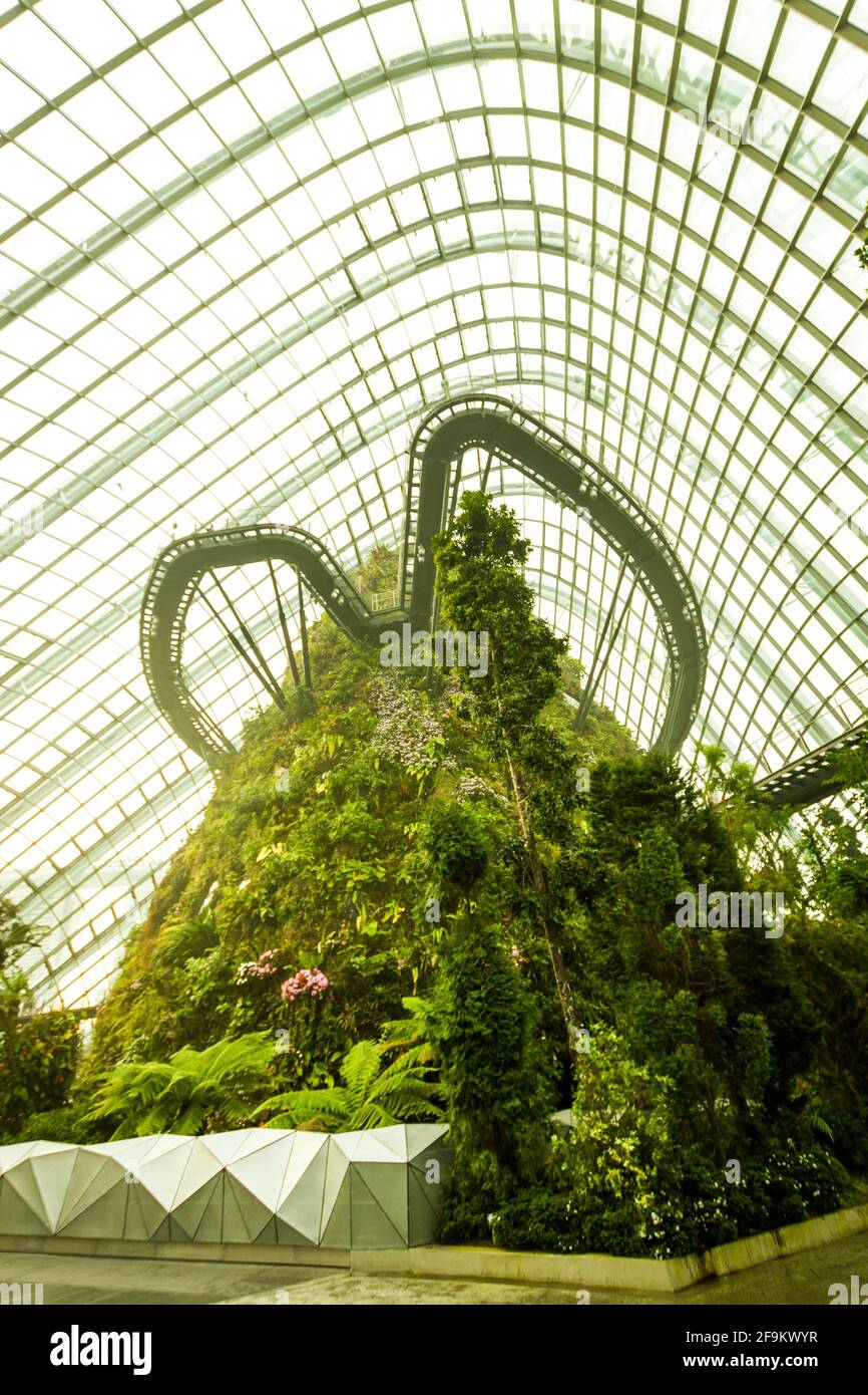 Marina Bay, Singapur - 8. Januar 2014: Das Innere des Cloud Forest, eines der beiden Wintergärten in den Gardens by the Bay, in Singapur. Stockfoto