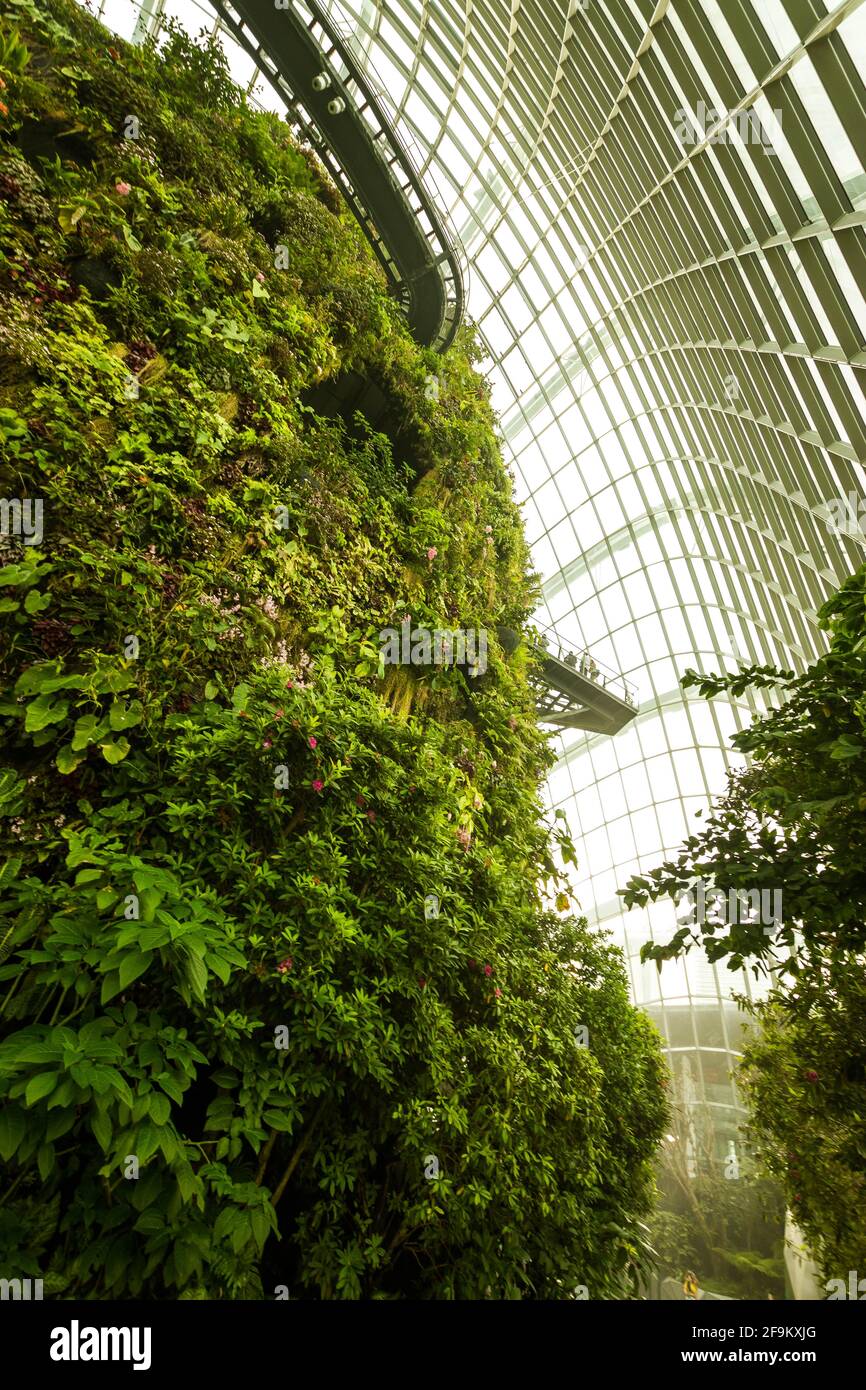 Marina Bay, Singapur - 8. Januar 2014: Das Innere des Cloud Forest, eines der beiden Wintergärten in den Gardens by the Bay, in Singapur. Stockfoto