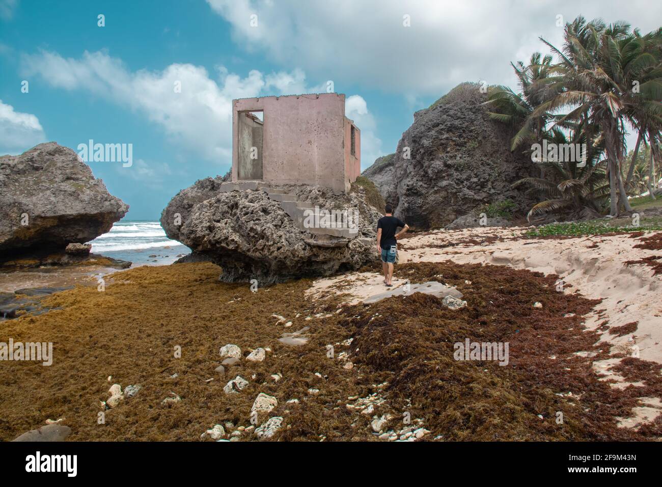 Weißer Mann, der tagsüber auf die Ruinen eines schmutzigen rosafarbenen Betongebäudes auf einer Felsformation am Bathsheba Beach, Barbados, zugeht. Dicke Wolken. Stockfoto