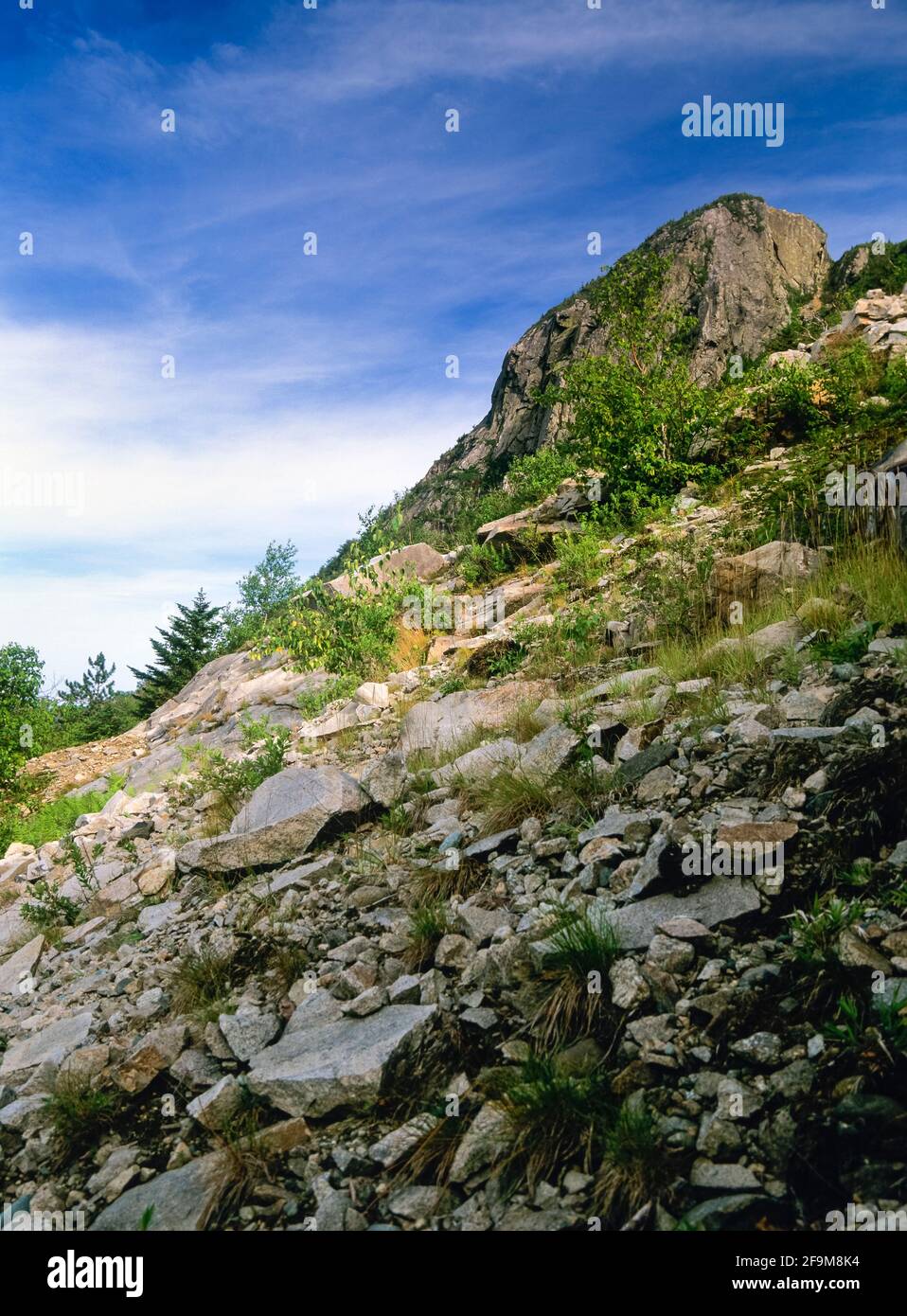 Ein Abschnitt der Eagle Cliff in der Frankenspitze in den New Hampshire White Mountains. Eagle Cliff wurde 1858 vom Reverend Thomas Hill nach seinem Namen f Stockfoto