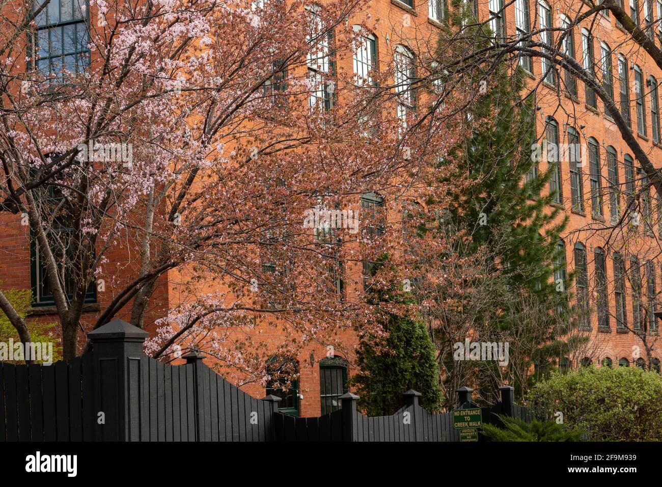 Franklin Square ist ein ehemaliges Industrieviertel, das zu Wohn- und Geschäftsvierteln in Syracuse New York wurde. Stockfoto