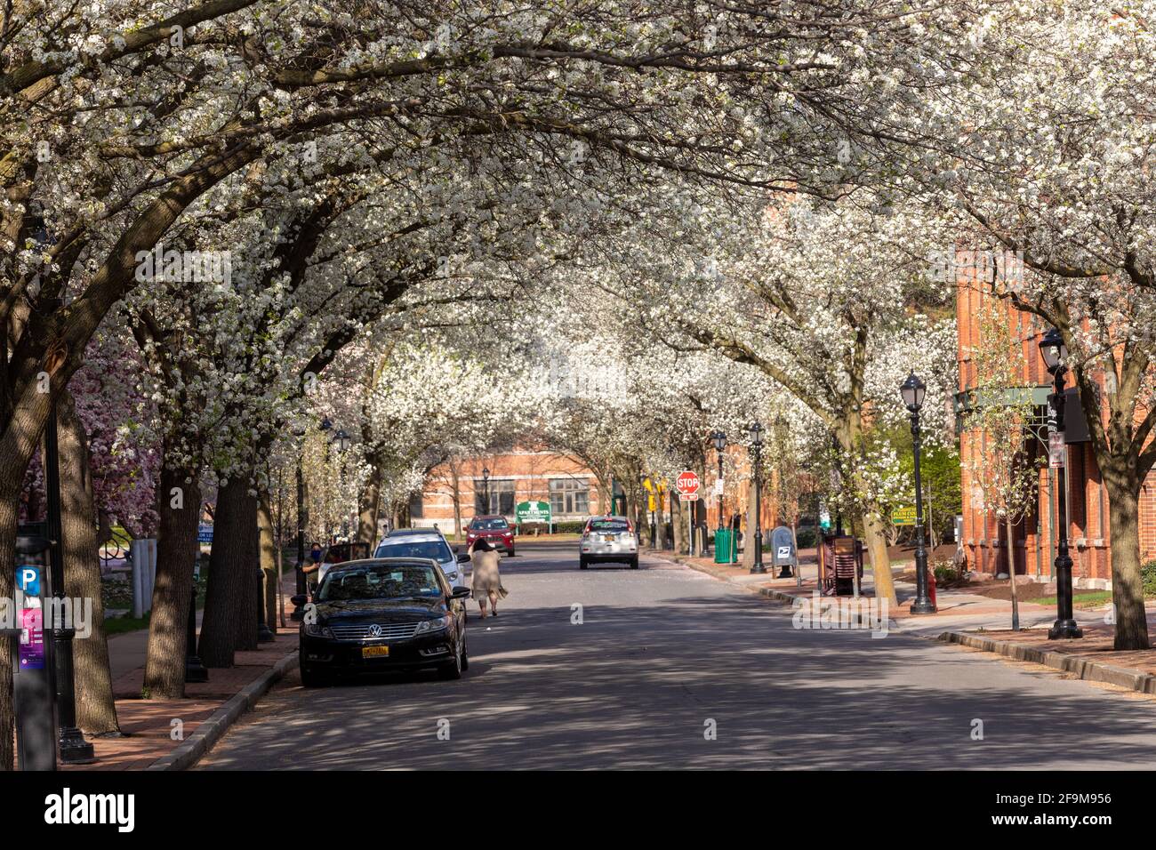 Franklin Square ist ein ehemaliges Industrieviertel, das zu Wohn- und Geschäftsvierteln in Syracuse New York wurde. Stockfoto Franklin Square ist ein ehemaliges Industrieviertel, das zu Wohn- und Geschäftsvierteln in Syracuse New York wurde. Stockfoto