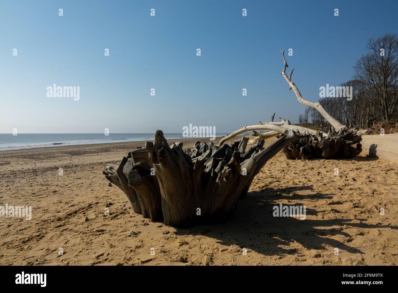 Covehithe Strand Stockfoto