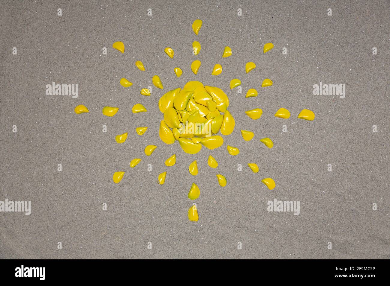 Sonne aus gelben Muschelschalen Stockfoto