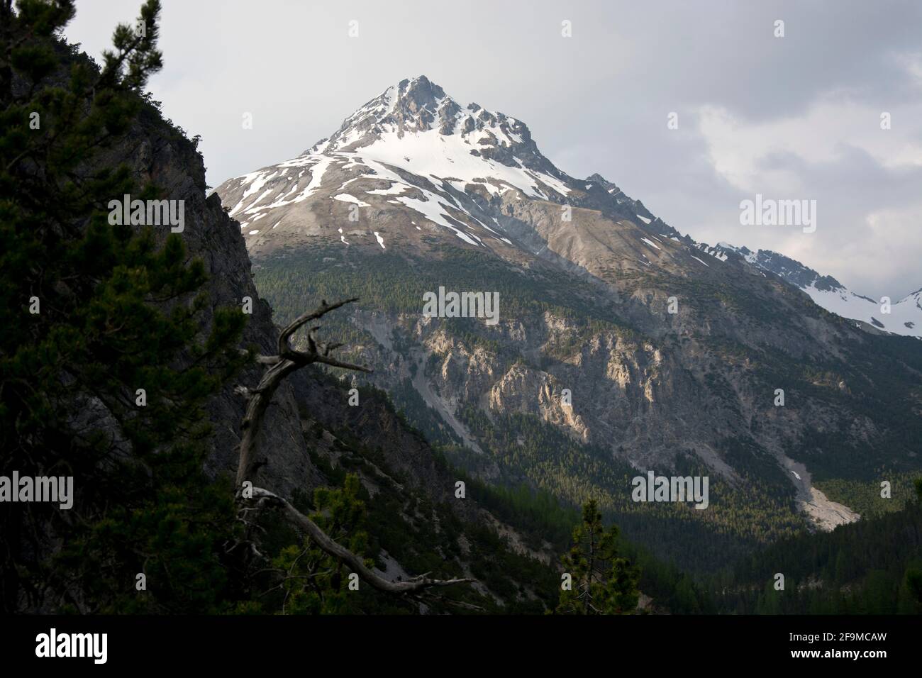 Schweizerischer Nationalpark: Ausblick von Munt la Schera Richtung Val del Gallo Stockfoto