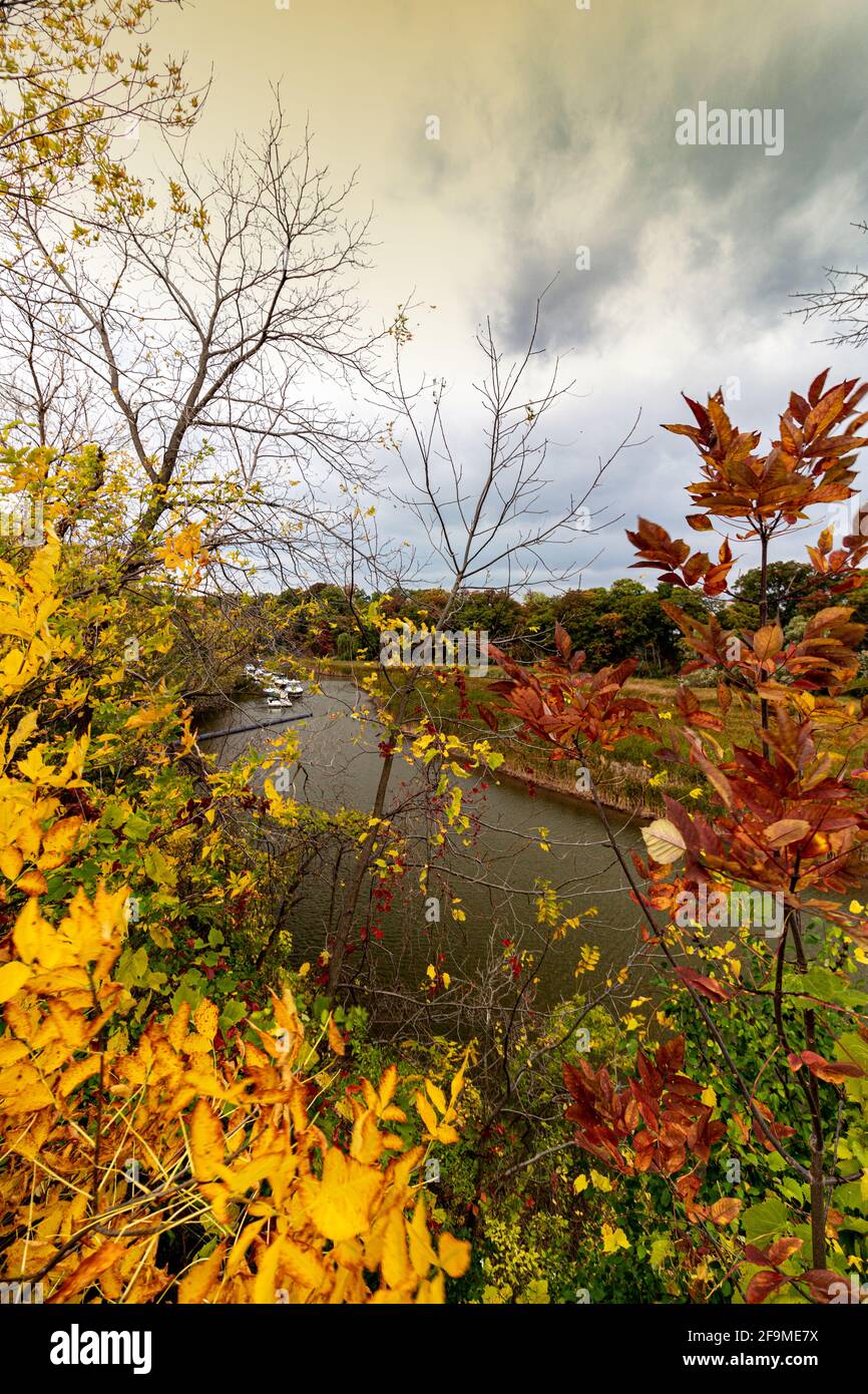Dunkle Wolken versuchen, die Herbstparty zu verderben - Herbst in Zentralkanadas, AUF Stockfoto