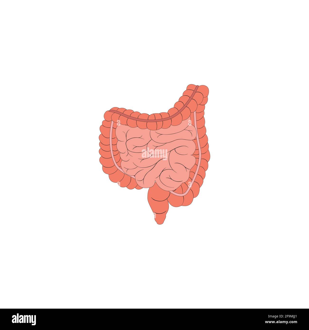 Symbol für modernen menschlichen Darm Vektorgrafik. Einfaches Darmerkzeichen für menschliche Anatomie, medizinisches oder medizinisches Konzept. Symbol für Darmorgan Stock Vektor