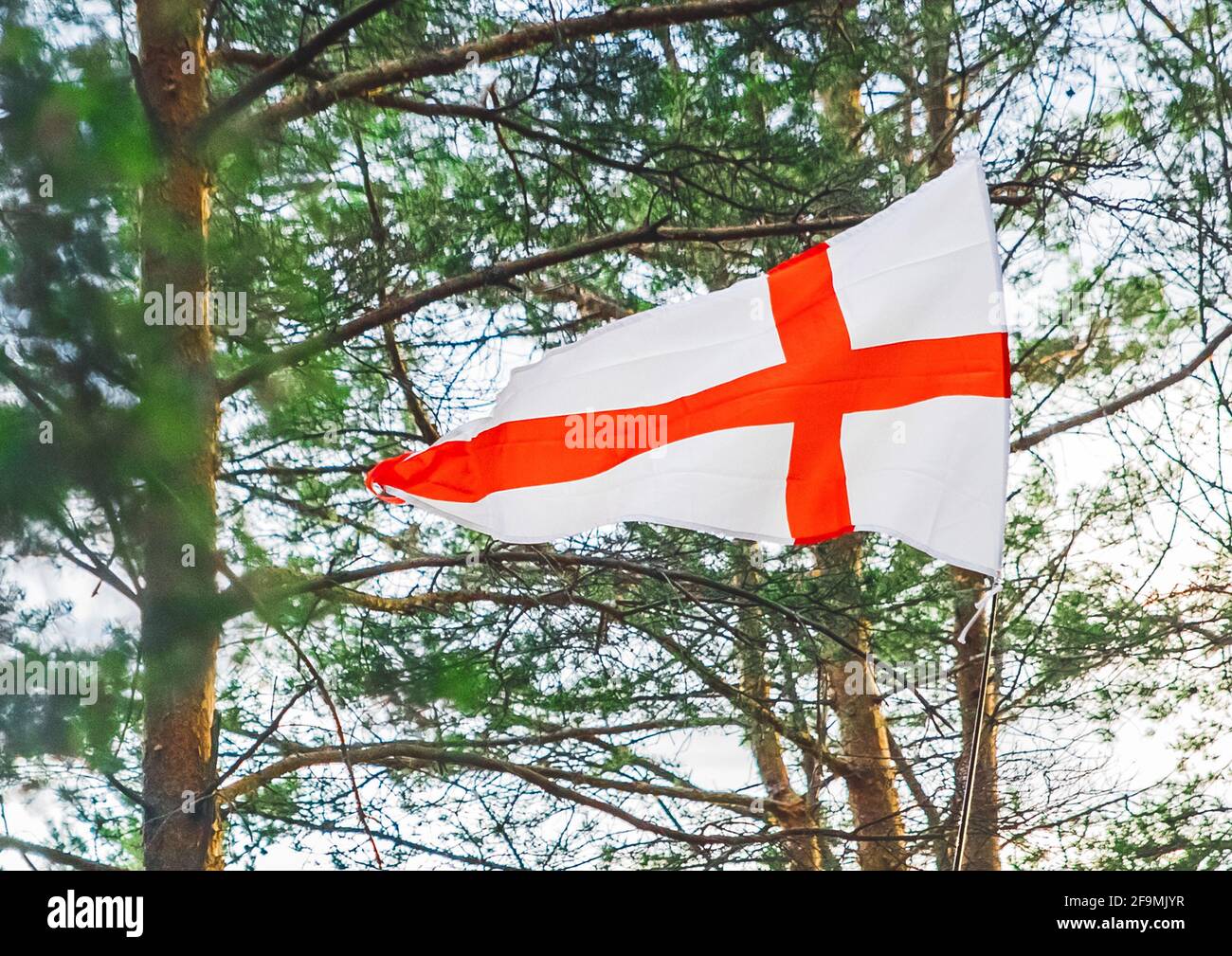 Die Nationalflagge Englands auf dem Hintergrund der Natur des Waldes und der touristischen Ferien. Stockfoto