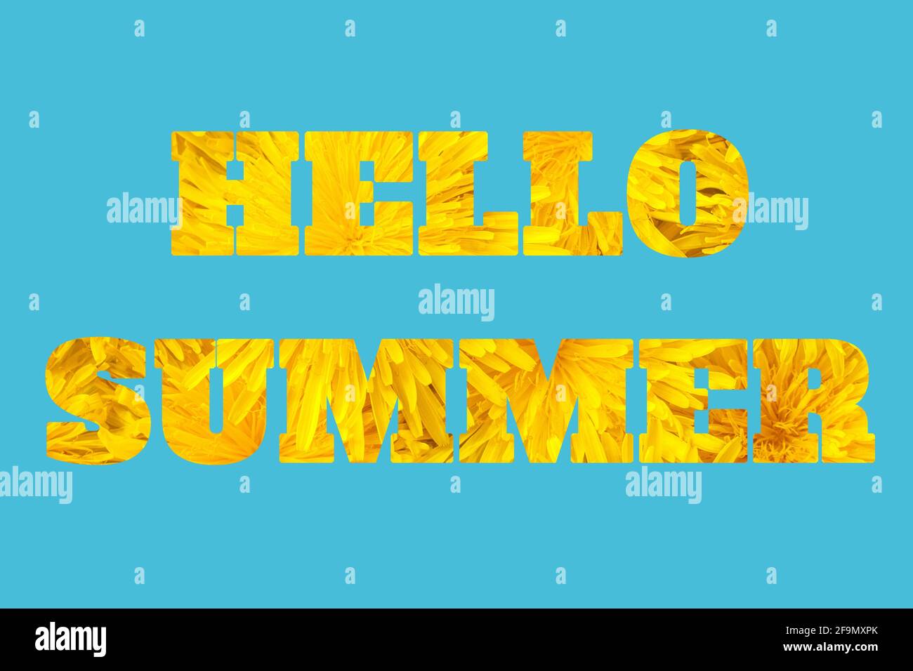 Hallo Sommer, Text Inschrift. Die Buchstaben von gelben hellen Dandelionen blühen auf blauem Hintergrund. Natürlicher abstrakter Hintergrund, Grußkarte. Summ Stockfoto