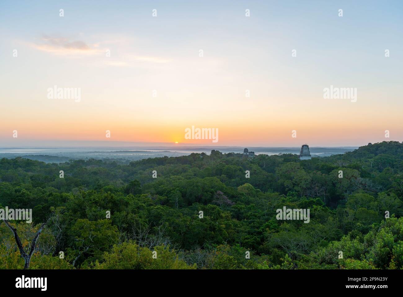 Maya-Pyramiden von Tikal mit dem tropischen Regenwald der Penen bei Sonnenaufgang, Tikal Nationalpark, Guatemala. Stockfoto
