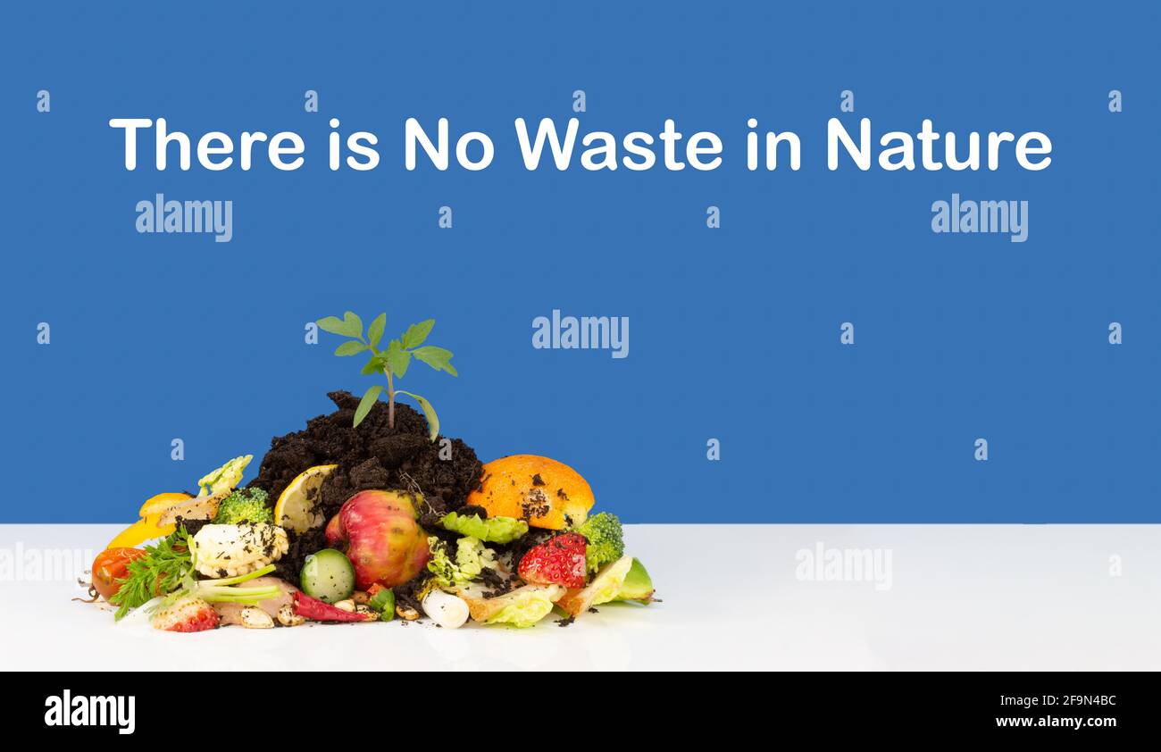 Lebensmittelabfälle mit Kompost und Pflanzen, die in Haufen wachsen, gibt es keine Abfälle im Text der Natur, recyceln Sie Lebensmittelabfälle durch Kompostieren und Anbau eigener Lebensmittel Stockfoto
