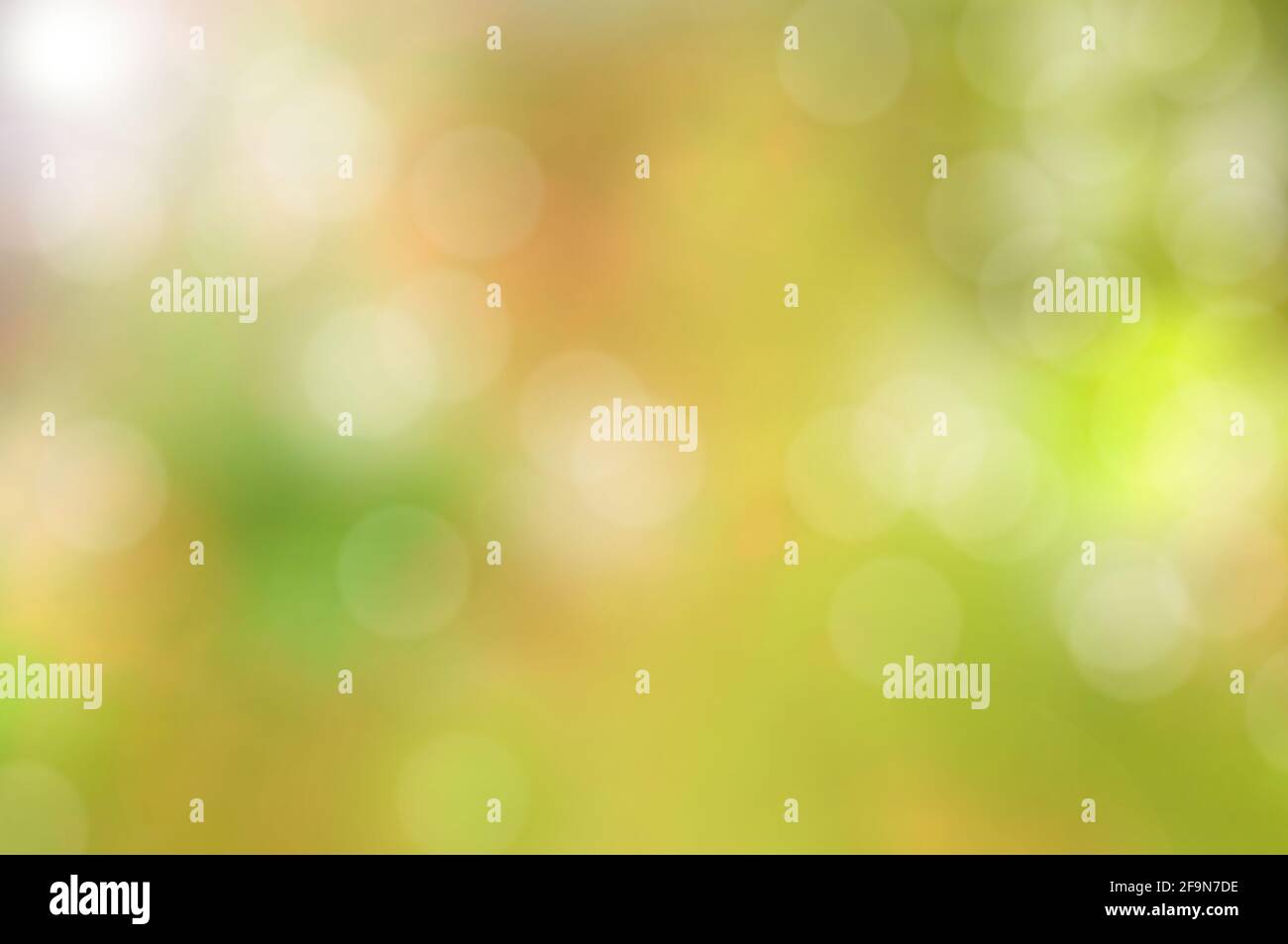 Abstrakter, farbenprächtiger grüner Hintergrund mit Bokeh- oder Streulicht-Effekt Stockfoto