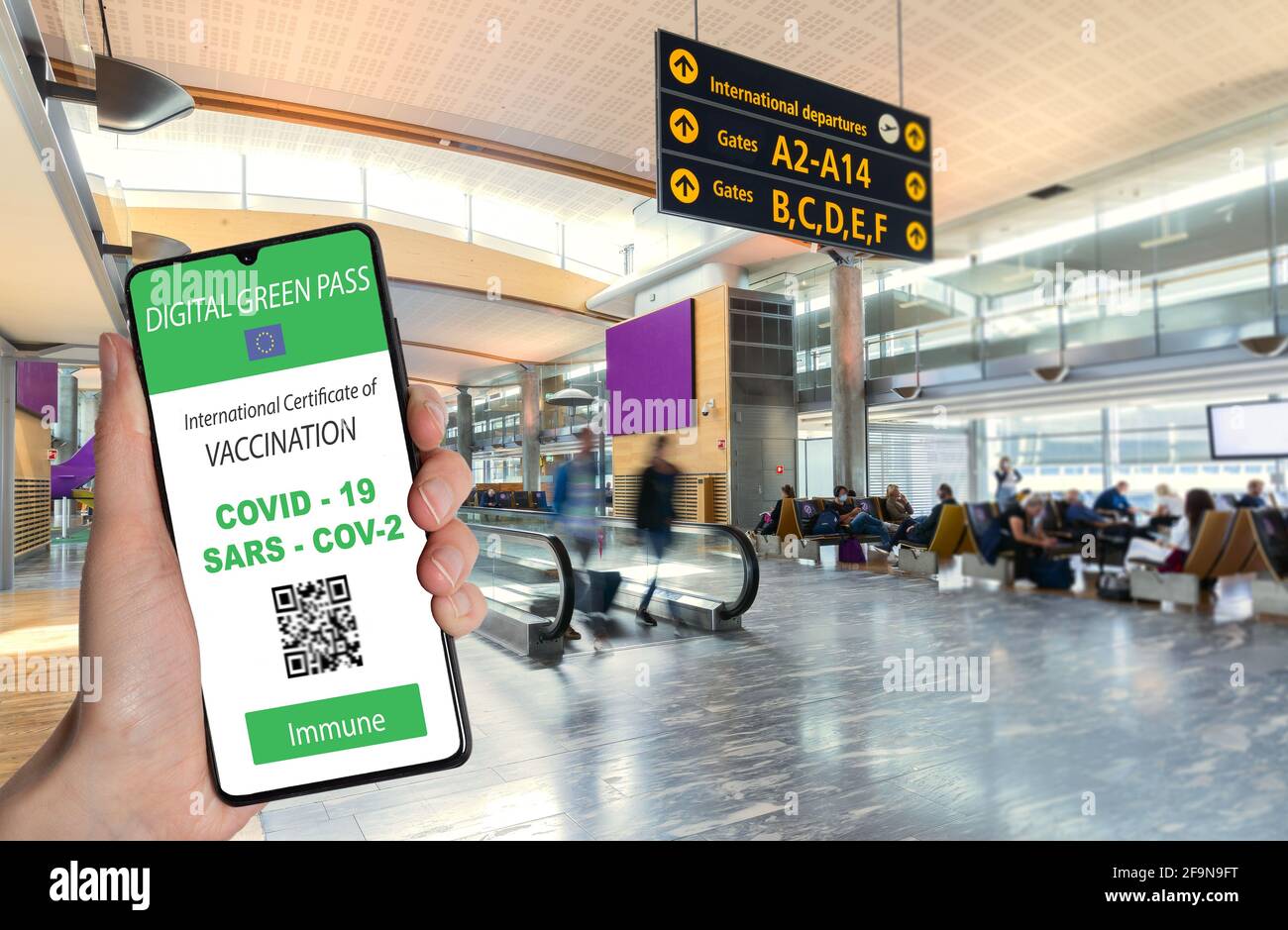 Der digitale grüne Pass der europäischen Union mit dem QR-Code auf dem Bildschirm eines Handys an einer Hand gehalten mit verschwommenem Flughafen im Hintergrund. Immunit Stockfoto