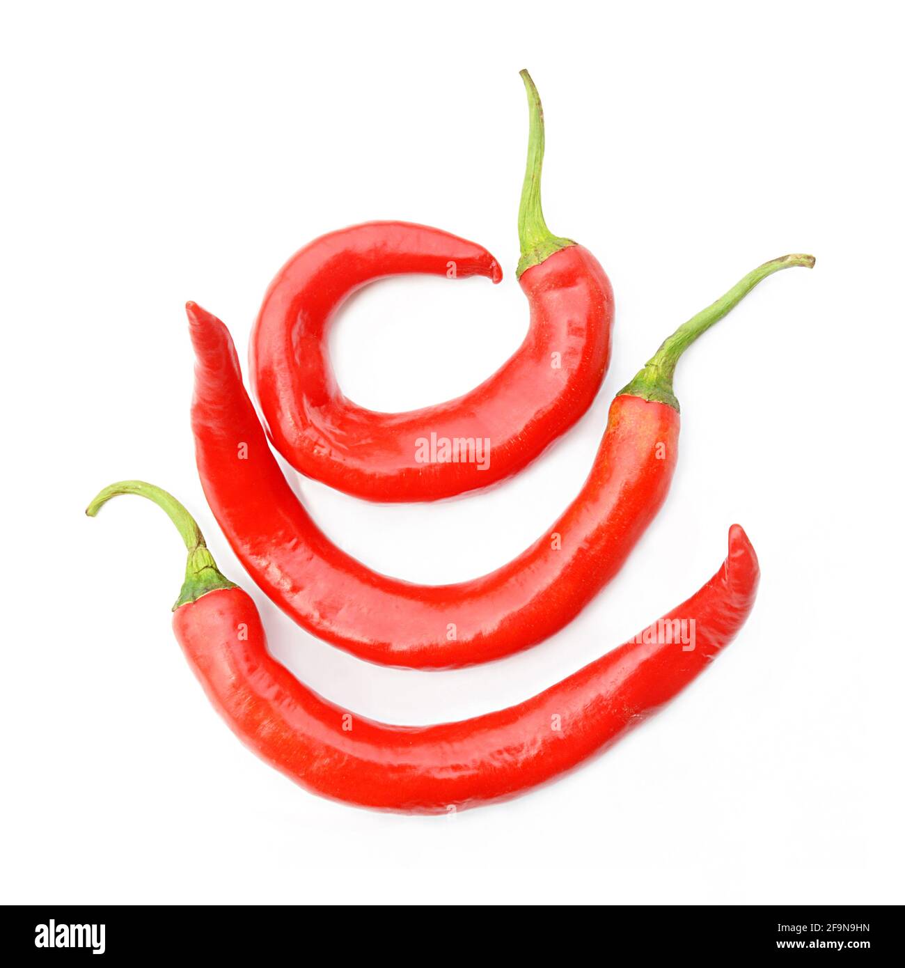 Rote Thai Chilis - einer der wichtigsten Zutaten von Thai Essen - isoliert auf weißem Hintergrund Stockfoto