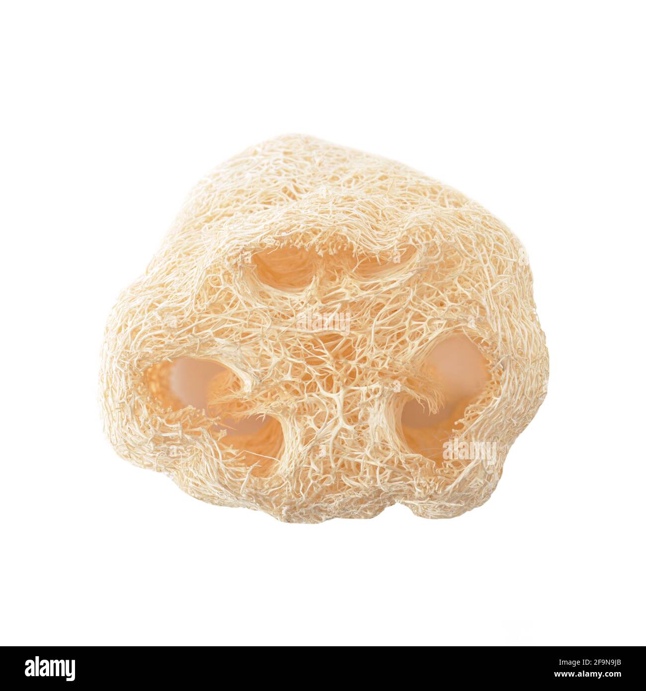 Loofah - natürliche Faser für Körperreinigung - isoliert auf Weiß Stockfoto