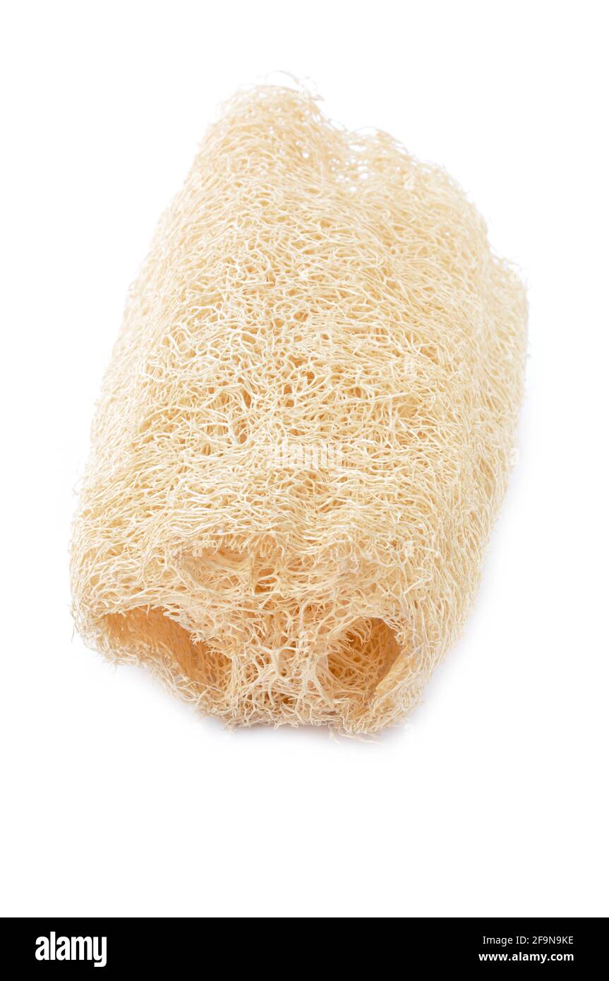 Loofah - natürliche Faser für Körperreinigung - isoliert auf Weiß Stockfoto