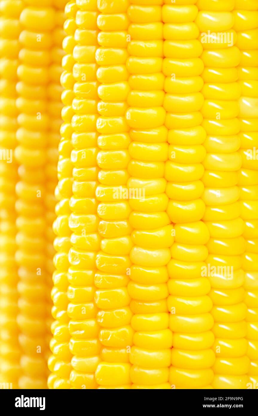 Mais - Nahaufnahme - Getreide und gesunde Ernährung Konzept Stockfoto