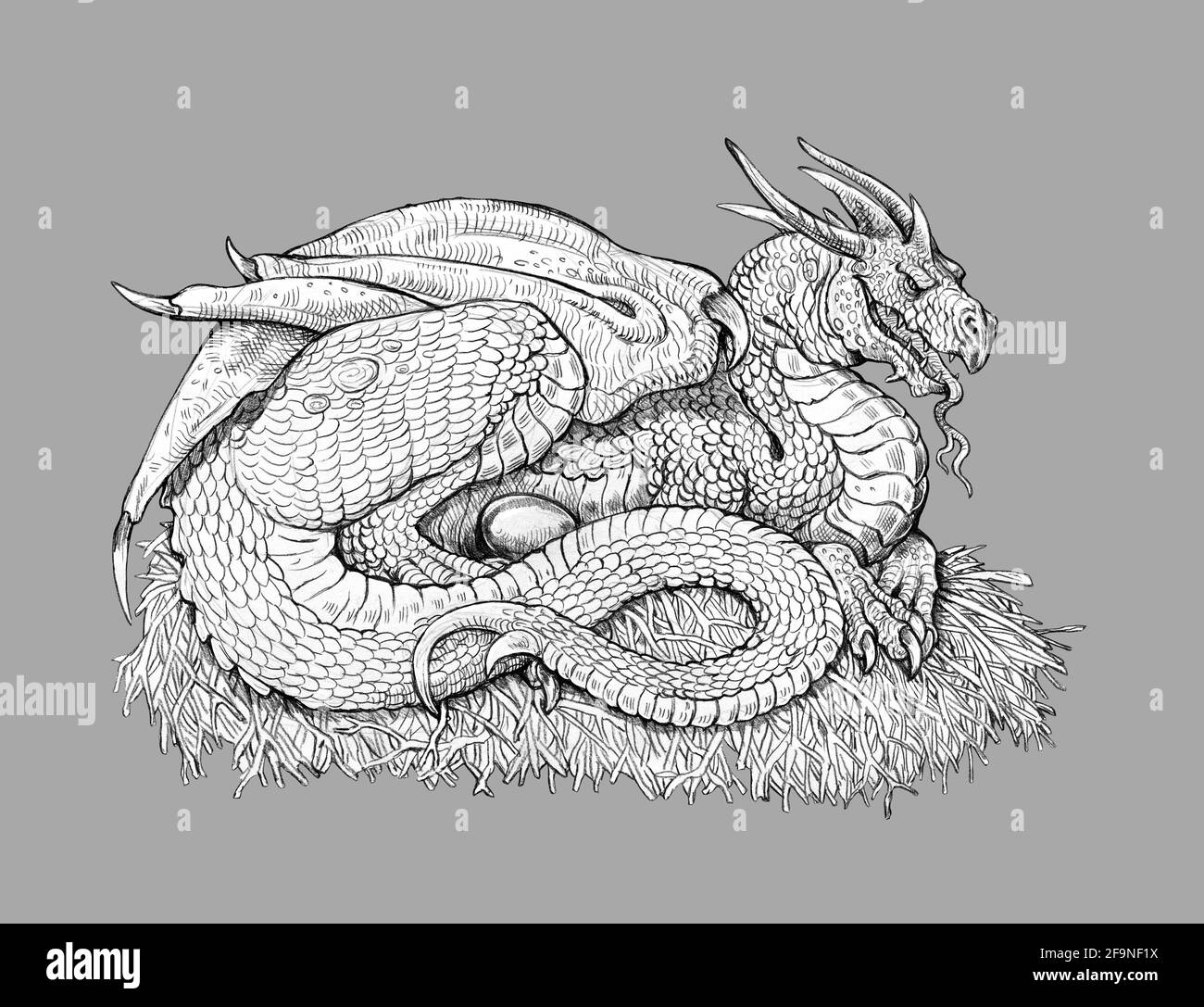 Fantasie Tier Schwarzweiss Stockfotos Und Bilder Alamy