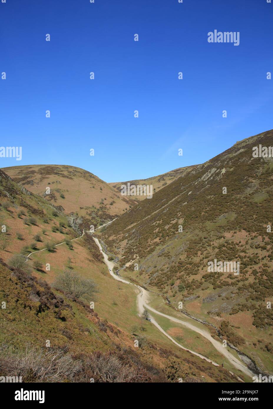 Weg vom Tal der Carding Mühle hinauf zum Long Mynd, Shropshire, England, Großbritannien. Stockfoto